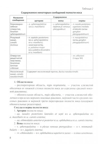 Анатомия дыхательной системы и сердца