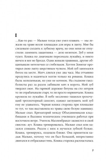 Кошки-мышки