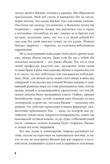 Кошки-мышки