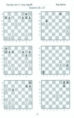 1000+ задач по шахматам - Фото 11