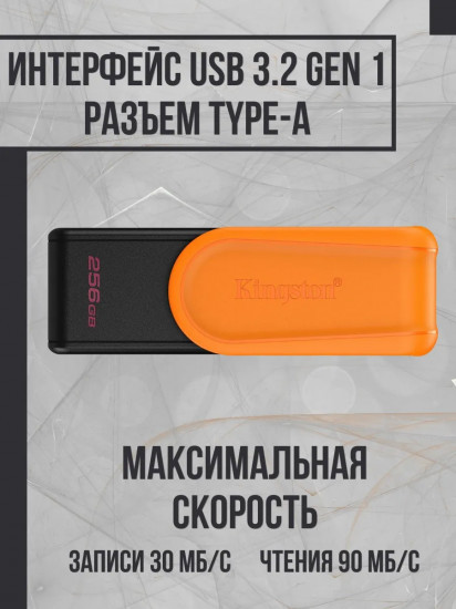 Флеш-накопитель Kingston DTXS/256GB