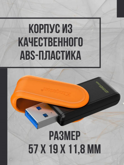 Флеш-накопитель Kingston DTXS/256GB