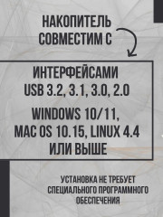 Флеш-накопитель DTXS/256GB - Фото 5