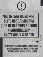 Флеш-накопитель DTXS/256GB - Фото 6