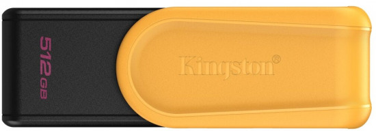 Флеш-накопитель Kingston DTXS/512GB