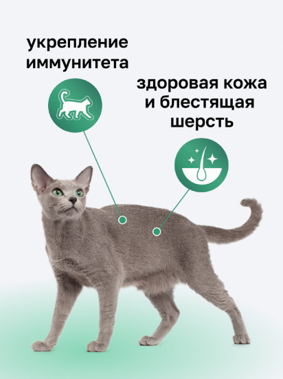 Корм для взрослых кошек сухой с ягнёнком, фруктами и овощами