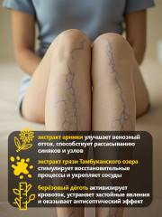 Крем-мазь при варикозе с конским каштаном и дегтем - Фото 3