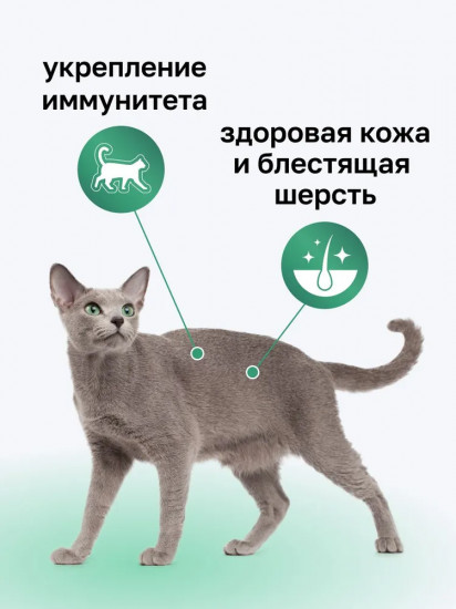 Корм для взрослых кошек сухой с ягнёнком, фруктами и овощами