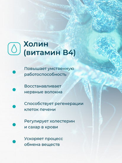 Капсулы «Холин B4»