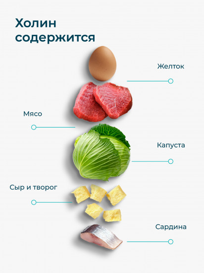 Капсулы «Холин B4»