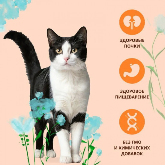 Корм для кошек для профилактики мочекаменной болезни