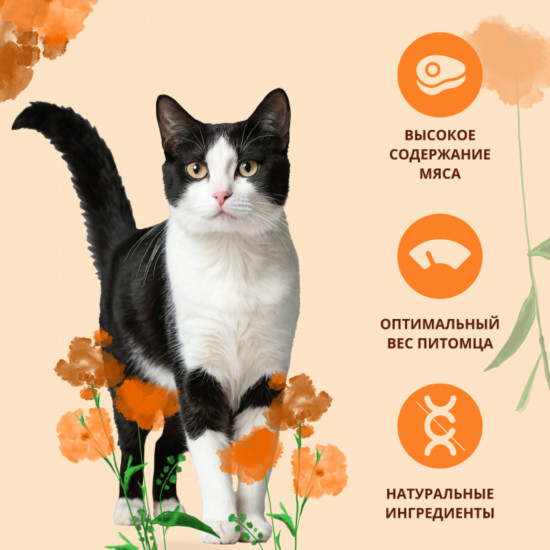 Корм для взрослых кошек сухой со свежей курицей «Life Maintenance»