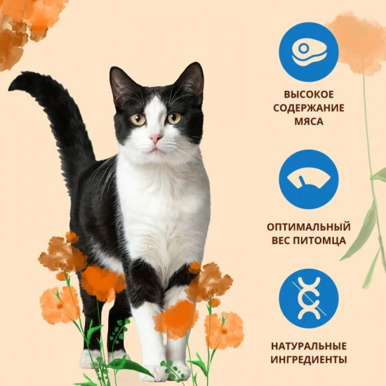 Корм для взрослых кошек сухой со свежей морской рыбой