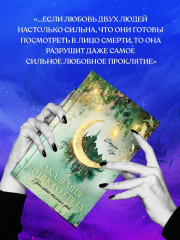 Академия лунного света. Проклятие тёмных фей - Фото 5