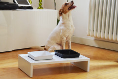 Набор мисок на подставке для кошек и собак - Фото 2