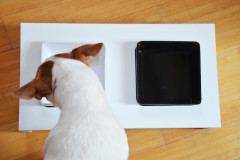 Набор мисок на подставке для кошек и собак - Фото 3