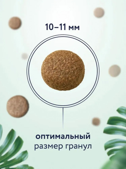 Корм для взрослых собак средних пород с ягненком и грушей
