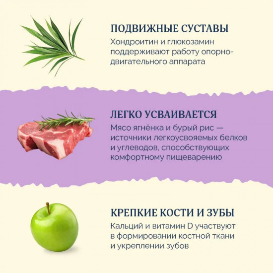 Корм для взрослых собак крупных пород сухой с ягнёнком, индейкой и бурым рисом