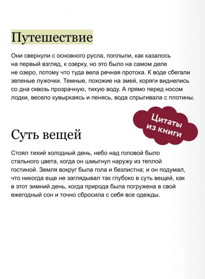 Ветер в ивах
