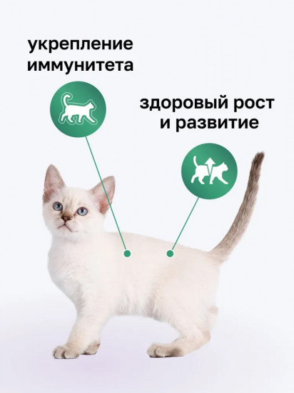Корм для котят сухой с индейкой, фруктами и овощами