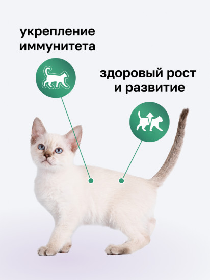 Корм для котят сухой с индейкой, фруктами и овощами