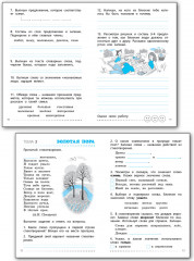 Тренажёр по русскому языку. Учимся работать с текстом. 2 класс - Фото 4