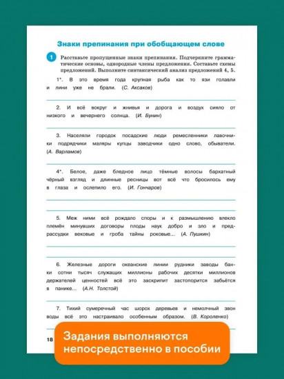 Тренажер по русскому языку. 8 класс. Пунктуация.