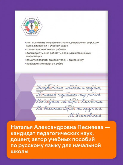 Языковая грамотность. 4 класс. Тетрадь-тренажёр