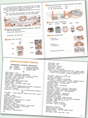 We Are Learning. Короткие рассказы на английском языке. 4 класс - Фото 4