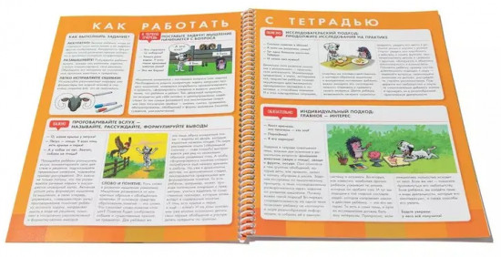 Пиши и стирай. Логика 4+. Тетрадь для речевого развития с маркером