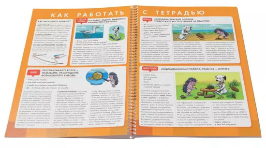 Пиши и стирай. Логика 5+. Тетрадь для речевого развития с маркером