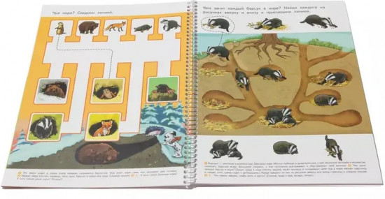 Пиши и стирай. Логика 5+. Тетрадь для речевого развития с маркером