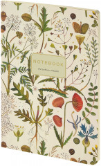 Тетрадь общая «Луговые травы» - Фото 1