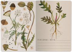 Тетрадь общая «Луговые травы» - Фото 2