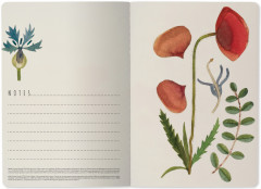 Тетрадь общая «Луговые травы» - Фото 4