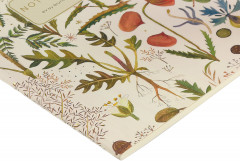 Тетрадь общая «Луговые травы» - Фото 5