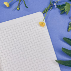 Тетрадь общая «Цветочная феерия» - Фото 1