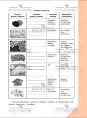 Технология. Рабочая тетрадь. 5 класс - Фото 6