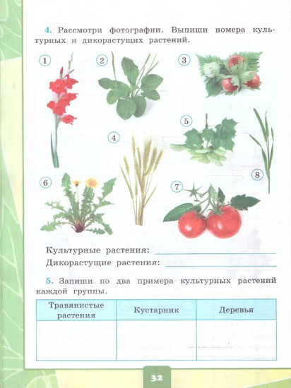 Окружающий мир. 2 класс Тетрадь для практических работ. Часть 1