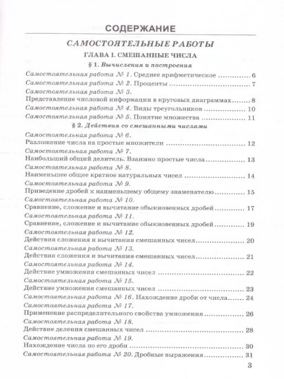 Математика. 6 класс. Контрольные и самостоятельные работы
