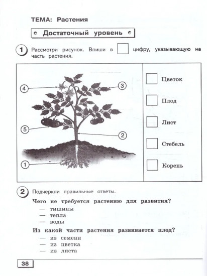 Мир природы и человека. 3 класс. Проверочные работы