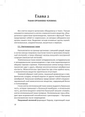 Человек. Краткий курс анатомии и физиологии - Фото 8