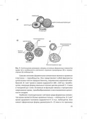 Человек. Краткий курс анатомии и физиологии - Фото 11