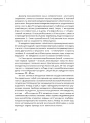 Человек. Краткий курс анатомии и физиологии - Фото 15