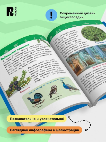 Чудеса родной природы
