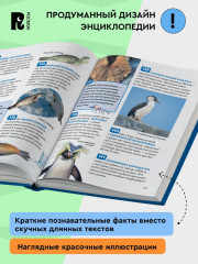 Подводный мир. 250 фактов - Фото 3