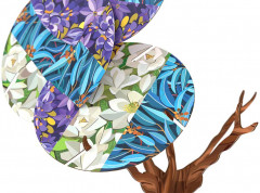 Игра настольная «Чудо-дерево» - Фото 8