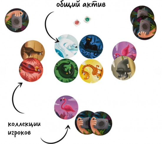 Карточная игра «Ай-щелк»