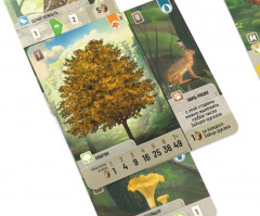 Настольная игра «Смешанный лес» - Фото 1