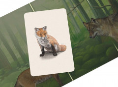 Настольная игра «Смешанный лес» - Фото 3